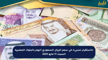 «استقرار نسبي» في سعر الريال السعودي اليوم بالبنوك المصرية السبت 11 مايو 2025